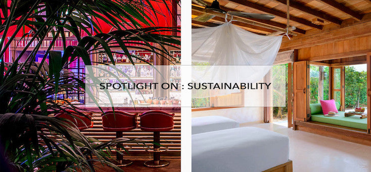 Spotlight on : Sustainability
